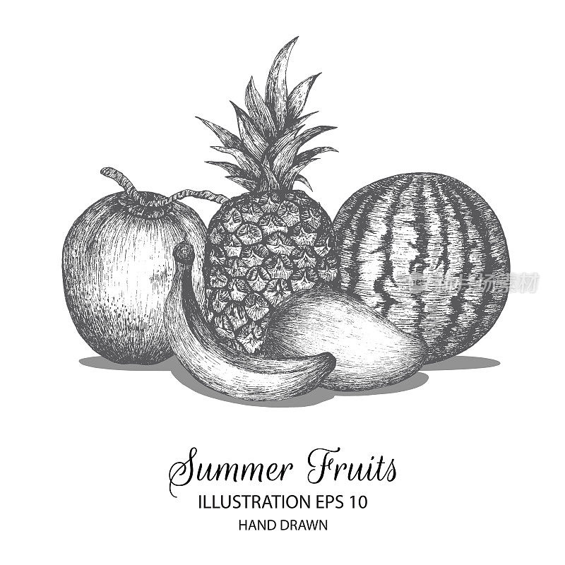 Mixed summer fruits hand drawn illustration by ink and pen sketch.